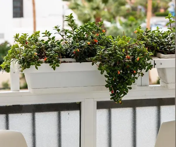 El Dorado, Wi-fi Y Aparcamiento Gratuito *